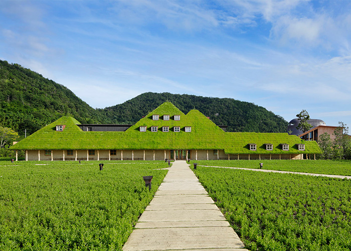 지붕의 한 면 전체가 잔디로 뒤덮인 거대한건축물의 정체는!?
